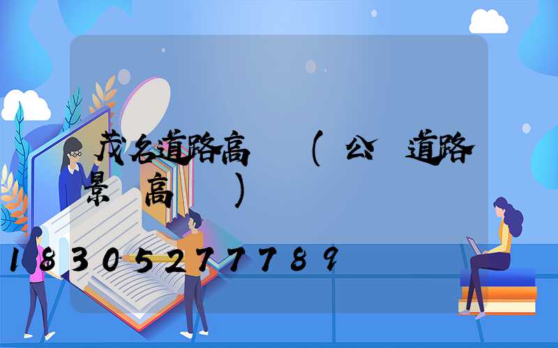 茂名道路高桿燈(公園道路景觀高桿燈)