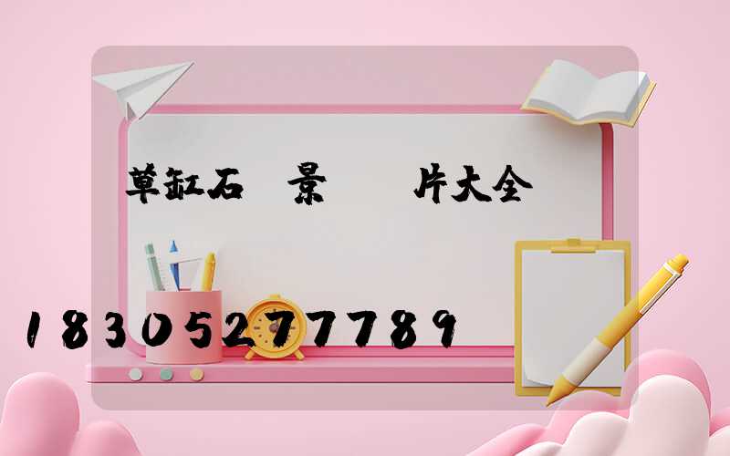 草缸石頭景觀圖片大全