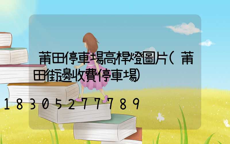 莆田停車場高桿燈圖片(莆田街邊收費停車場)