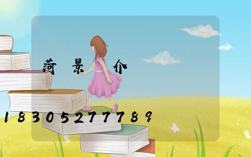 菏澤景觀燈介紹