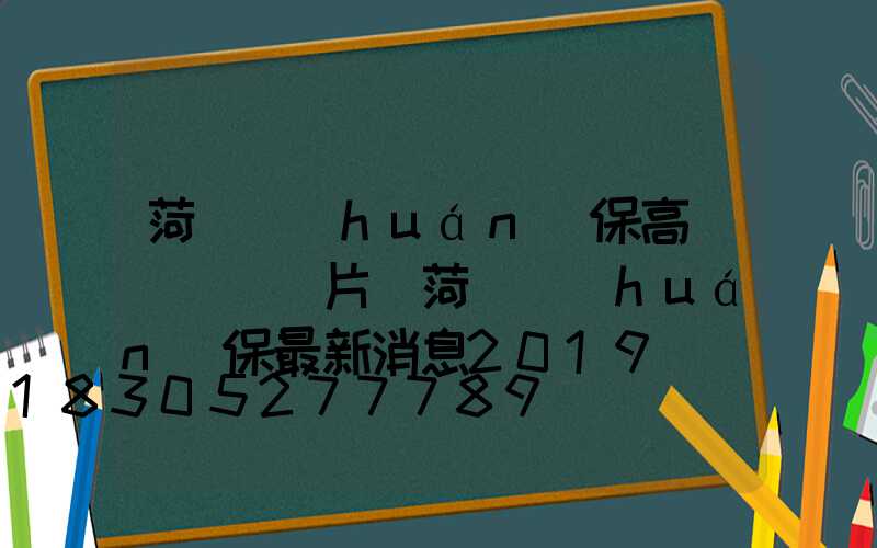 菏澤環(huán)保高桿燈報價圖片(菏澤環(huán)保最新消息2019)