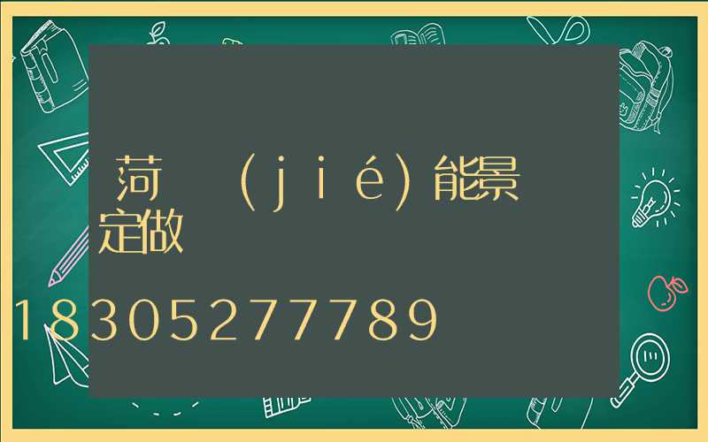 菏澤節(jié)能景觀燈定做