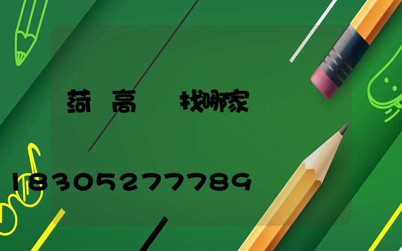 菏澤高桿燈找哪家