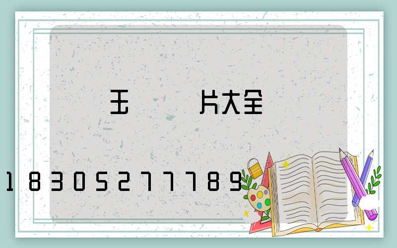 華體玉蘭燈圖片大全