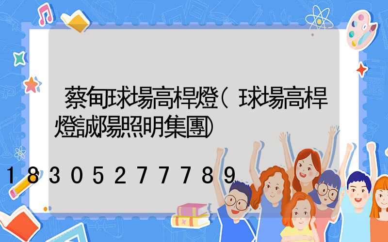 蔡甸球場高桿燈(球場高桿燈誠陽照明集團)