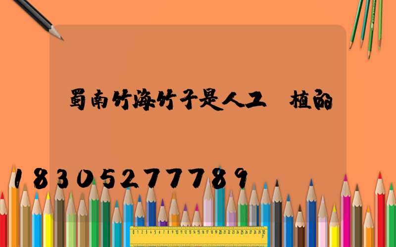 蜀南竹海竹子是人工種植的嗎