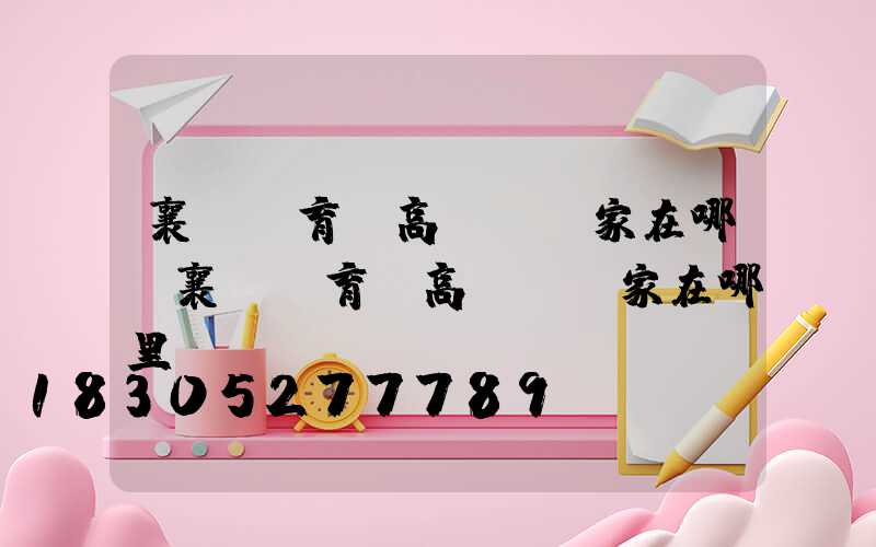 襄陽體育場高桿燈廠家在哪(襄陽體育場高桿燈廠家在哪里)