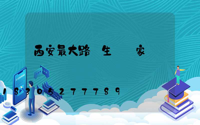 西安最大路燈生產廠家