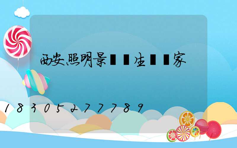 西安照明景觀燈生產廠家