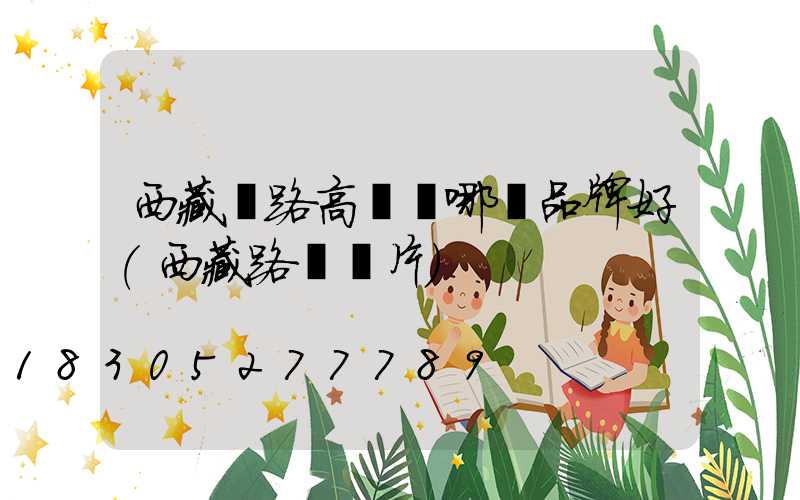 西藏馬路高桿燈哪個品牌好(西藏路燈圖片)