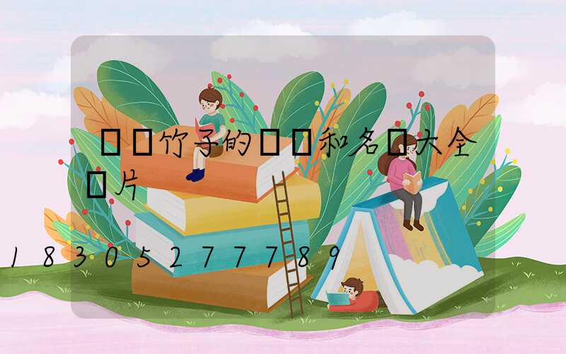 觀賞竹子的種類和名稱大全圖片