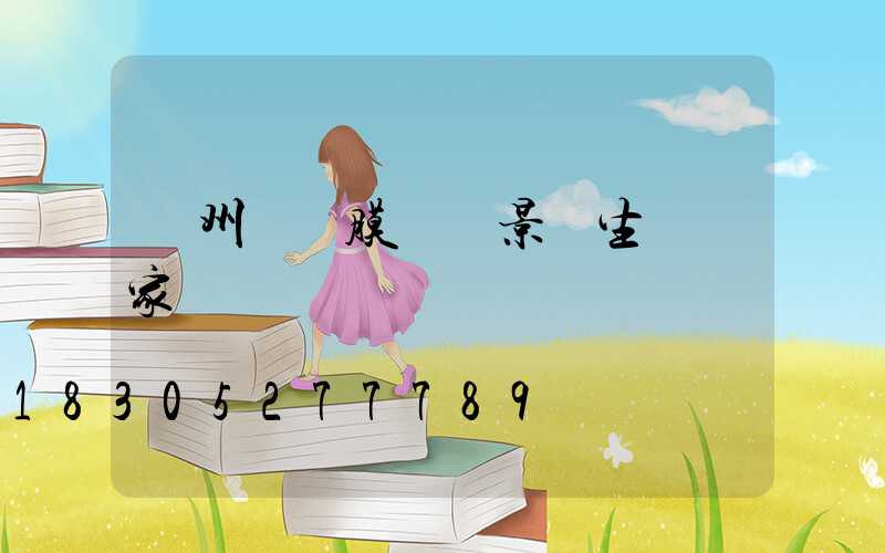 貴州廣場膜結構景觀生產廠家