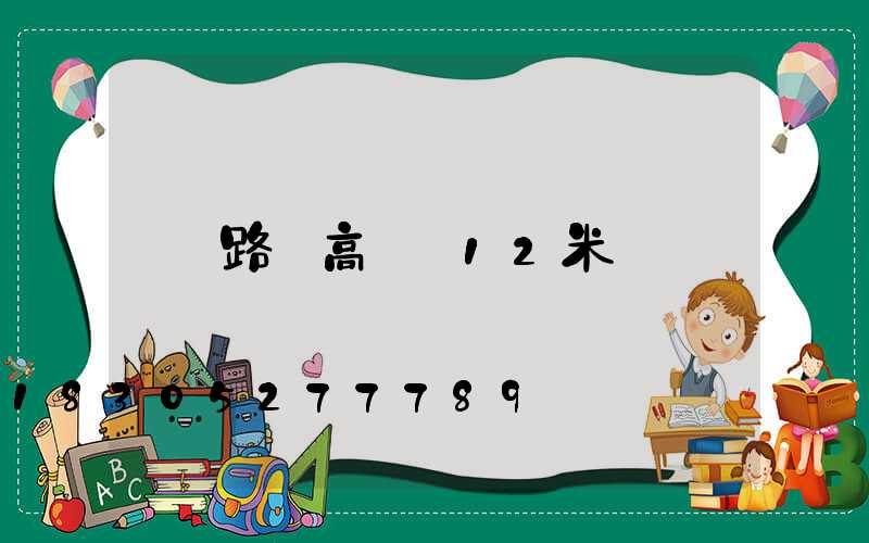 路燈高桿燈12米