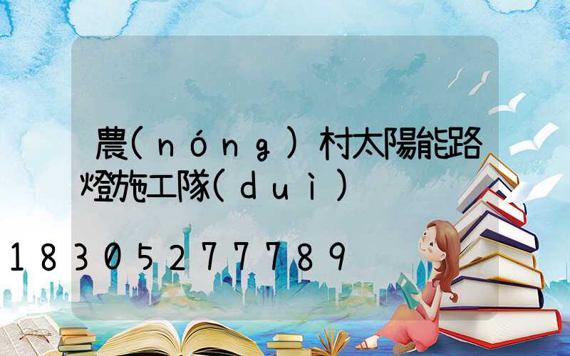 農(nóng)村太陽能路燈施工隊(duì)
