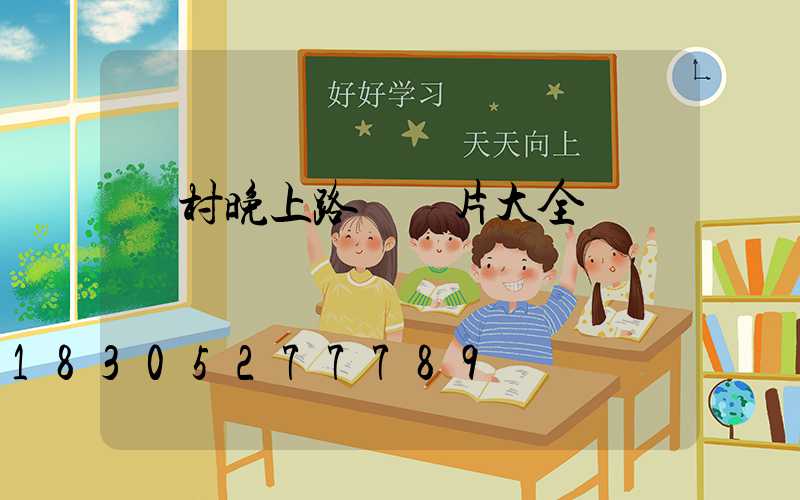 農村晚上路燈圖片大全