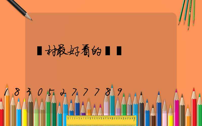 農村最好看的圍墻