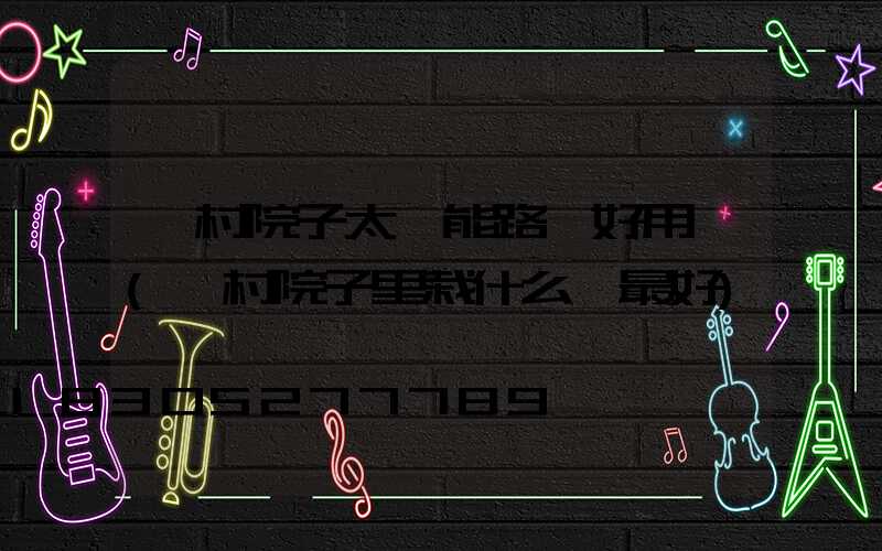 農村院子太陽能路燈好用嗎(農村院子里栽什么樹最好)