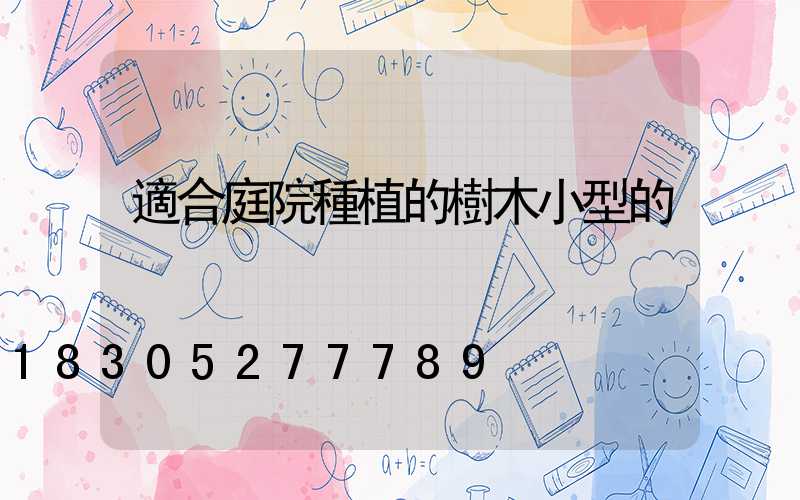 適合庭院種植的樹木小型的