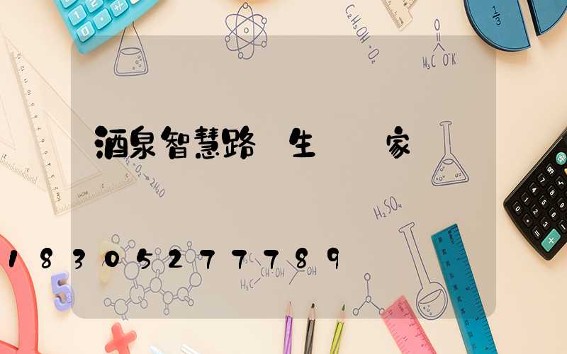酒泉智慧路燈生產廠家