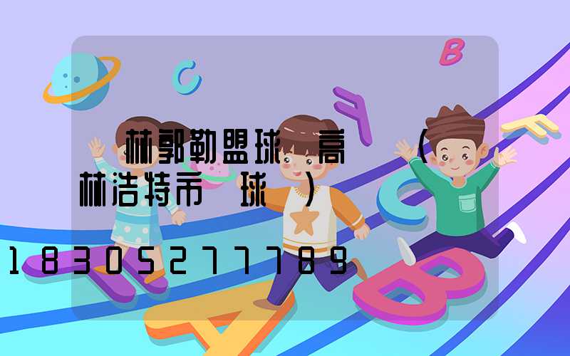 錫林郭勒盟球場高桿燈(錫林浩特市籃球場)