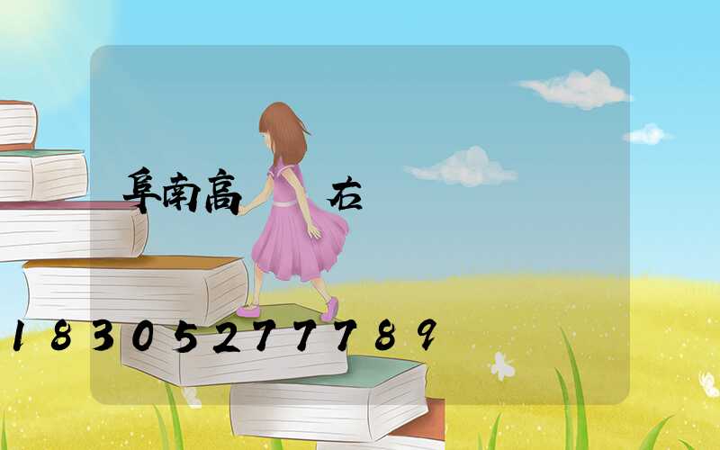 阜南高桿燈右轉