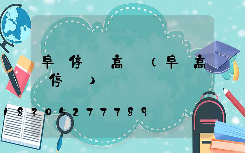 阜陽停車場高桿燈(阜陽高鐵停車場)