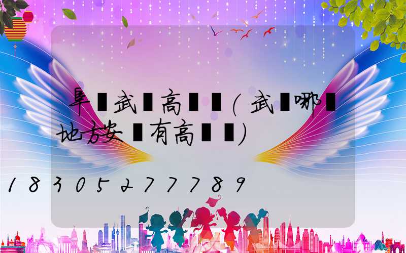 阜陽武漢高桿燈(武漢哪個地方安裝有高桿燈)