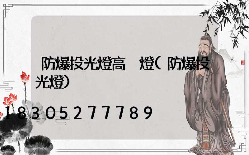防爆投光燈高桿燈(防爆投光燈)
