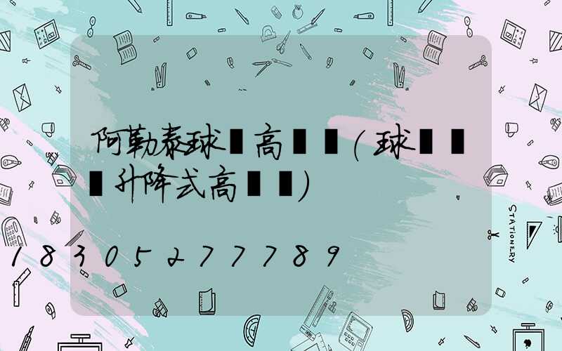 阿勒泰球場高桿燈(球場電動升降式高桿燈)