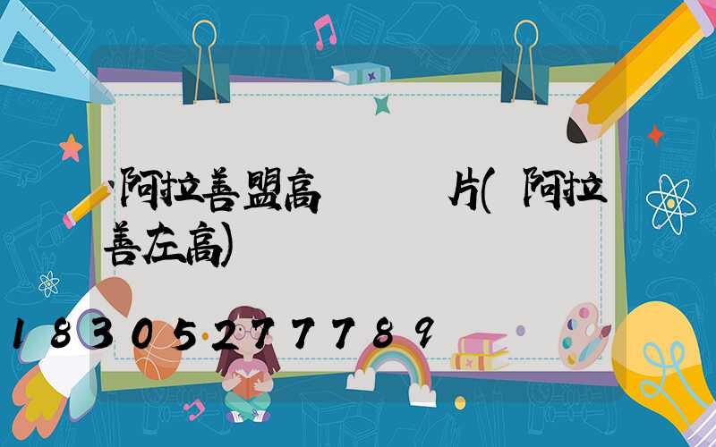 阿拉善盟高桿燈圖片(阿拉善左高)