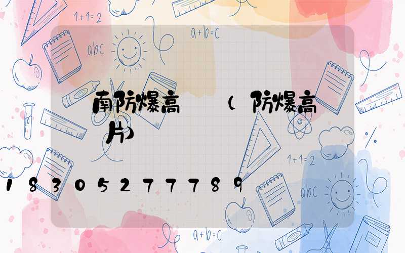 隴南防爆高桿燈(防爆高桿燈圖片)