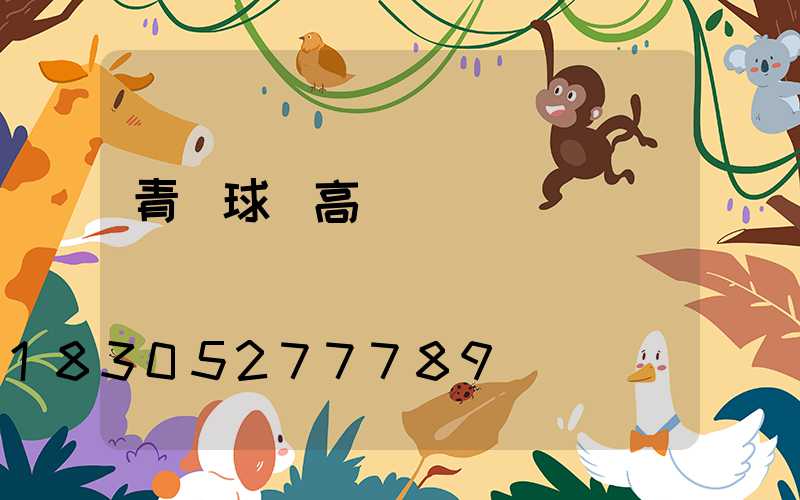 青島球場高桿燈