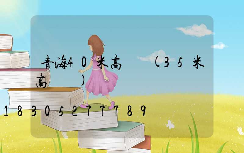 青海40米高桿燈(35米高桿燈)