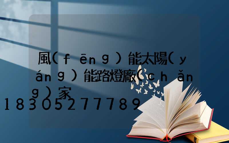 風(fēng)能太陽(yáng)能路燈廠(chǎng)家