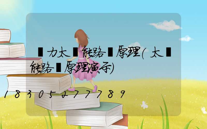 風力太陽能路燈原理(太陽能路燈原理演示)