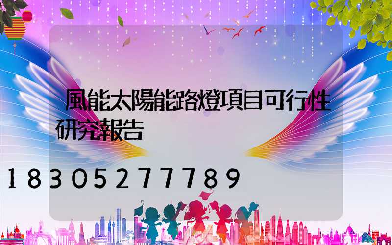 風能太陽能路燈項目可行性研究報告