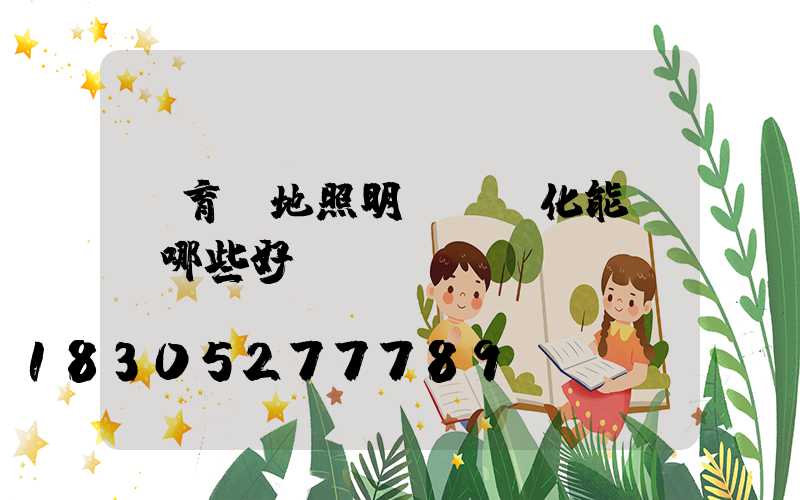 體育場地照明設備優化能帶來哪些好處？