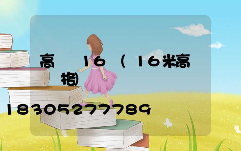高桿燈16頭(16米高桿燈價格)