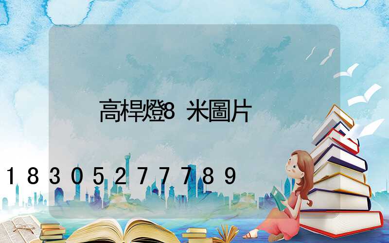 高桿燈8米圖片