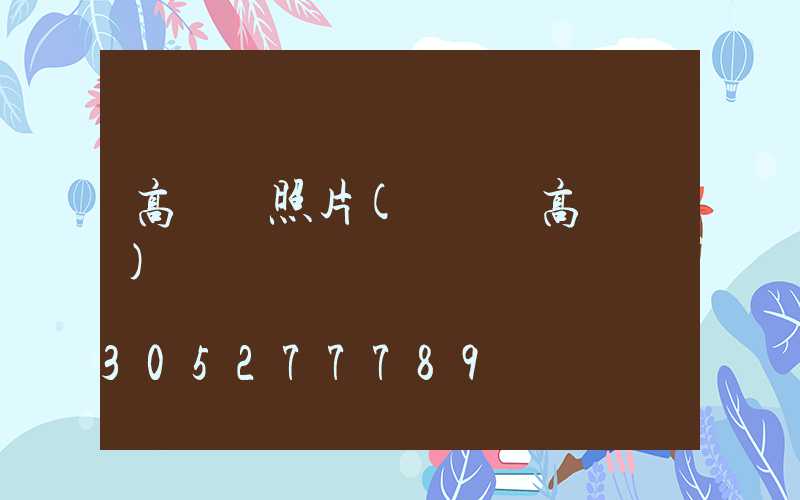 高桿燈照片(廣場燈高桿燈)