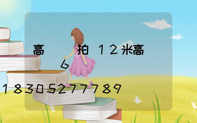 高桿燈燈拍(12米高桿燈廣場燈6頭)