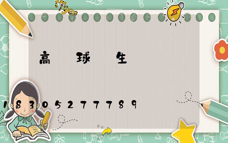 高桿燈球場燈生產