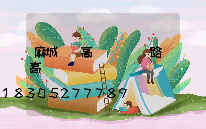 麻城機場高桿燈(機場路燈高桿燈)