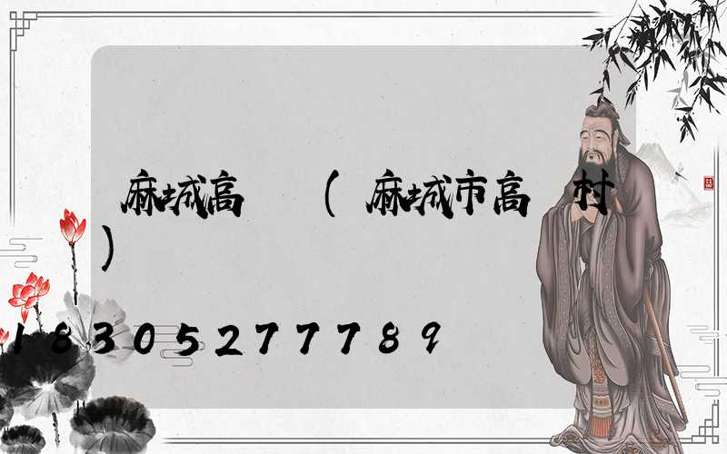 麻城高桿燈(麻城市高橋村)