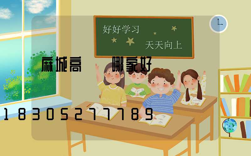 麻城高桿燈哪家好