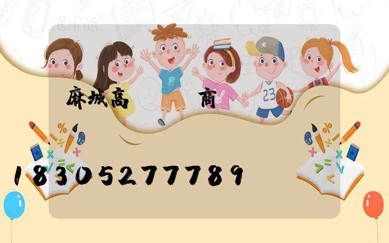 麻城高桿燈廠商