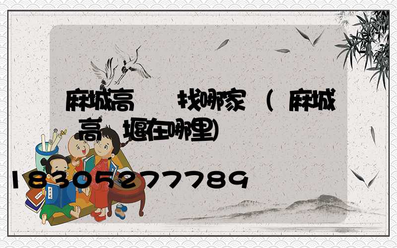 麻城高桿燈找哪家換(麻城縣高桿堰在哪里)