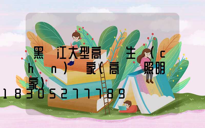 黑龍江大型高桿燈生產(chǎn)廠家(高桿燈照明廠家)