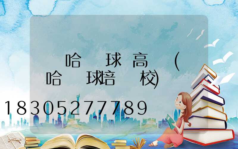 齊齊哈爾網球場高桿燈(齊齊哈爾網球培訓學校)