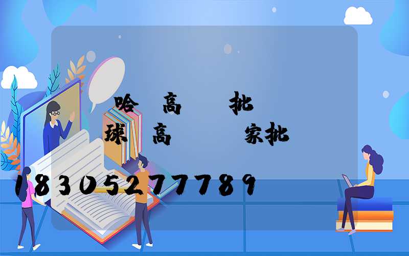 齊齊哈爾高桿燈批發(fā)(球場高桿燈廠家批發(fā))